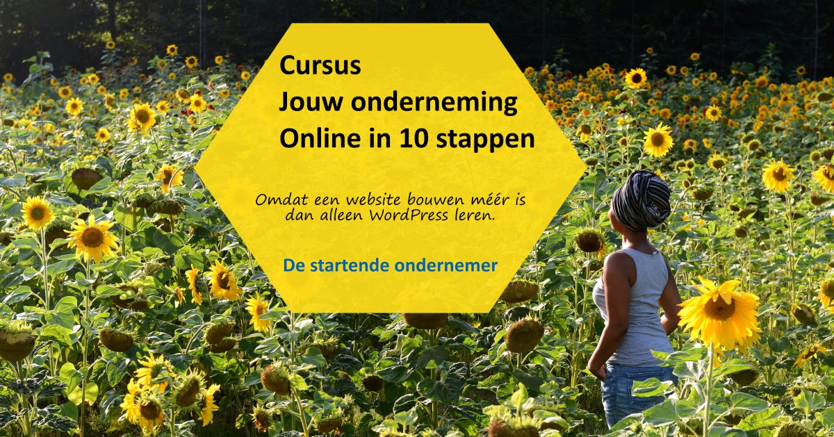 Cursus jouw onderneming online in 10 stappen