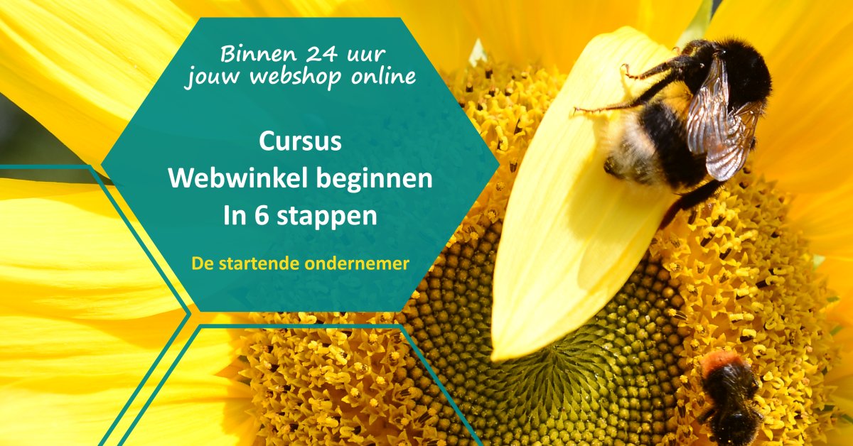 Cursus webwinkel beginnen