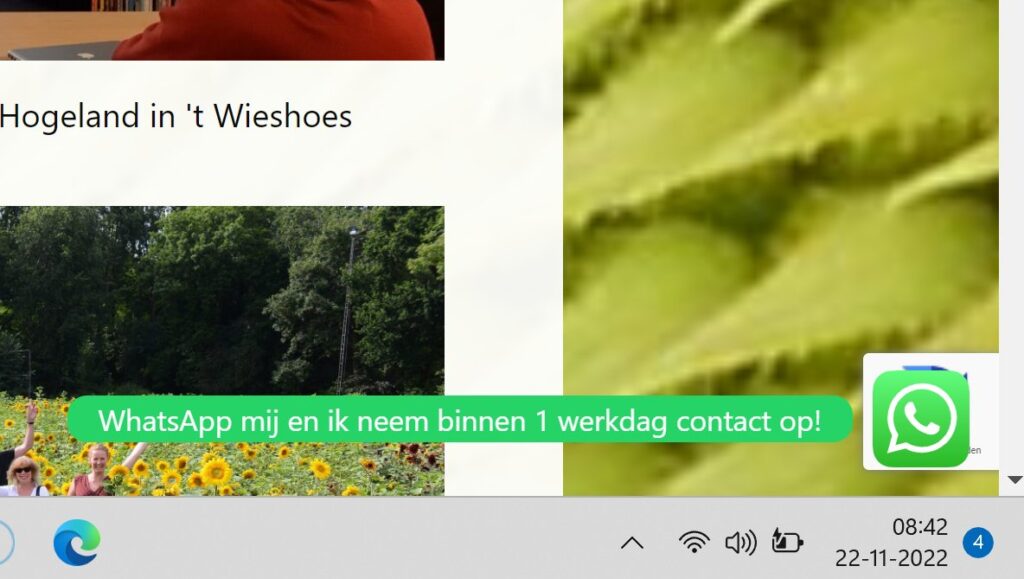 whatsapp integratie op je website