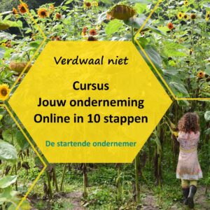 Verdwalen kan je doen in een zonnebloemdoolhof maar met het maken van je website voor jouw onderneming is dat niet fijn