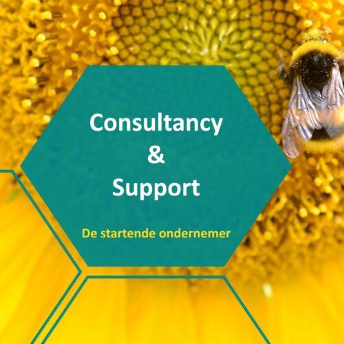 Consultancy en support