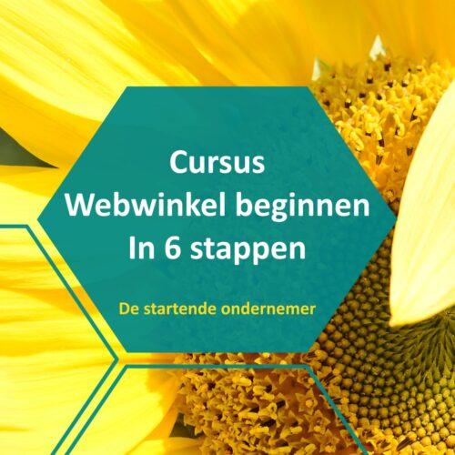 Cursus webwinkel beginnen